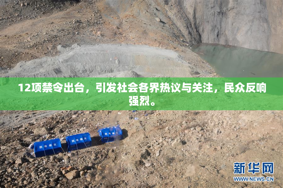 12项禁令出台，引发社会各界热议与关注，民众反响强烈。