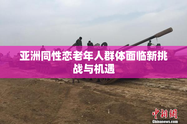 亚洲同性恋老年人群体面临新挑战与机遇