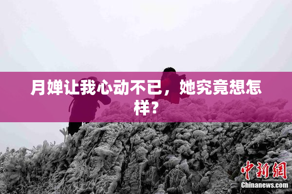 月婵让我心动不已，她究竟想怎样？