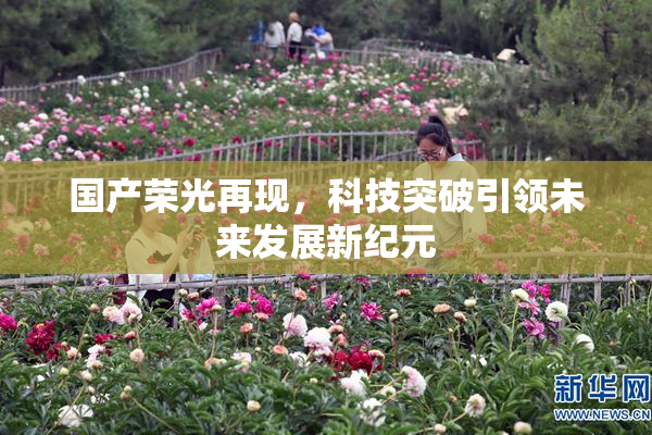 国产荣光再现，科技突破引领未来发展新纪元