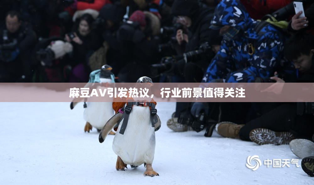 麻豆A∨引发热议，行业前景值得关注