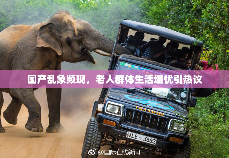 国产乱象频现，老人群体生活堪忧引热议