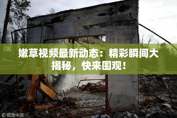 嫩草视频最新动态：精彩瞬间大揭秘，快来围观！