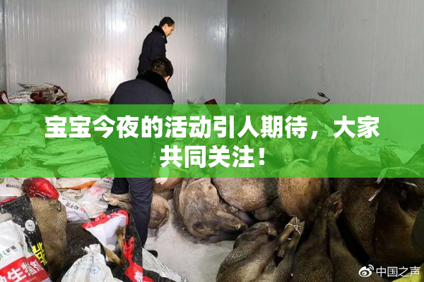 宝宝今夜的活动引人期待，大家共同关注！