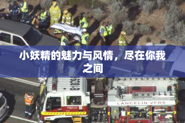 小妖精的魅力与风情，尽在你我之间