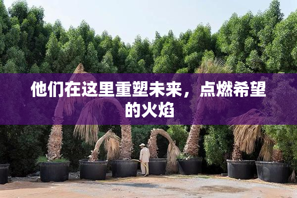 他们在这里重塑未来，点燃希望的火焰