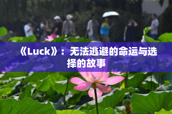 《Luck》：无法逃避的命运与选择的故事