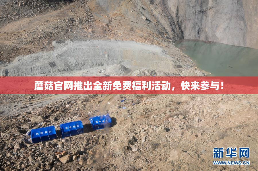 蘑菇官网推出全新免费福利活动，快来参与！