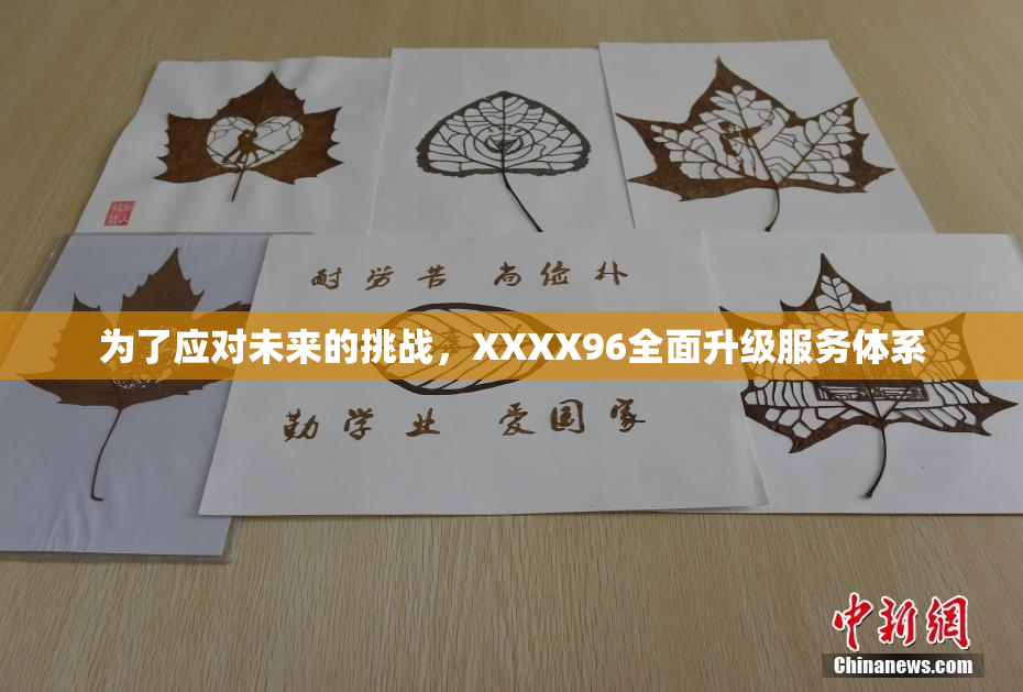 为了应对未来的挑战，XXXX96全面升级服务体系