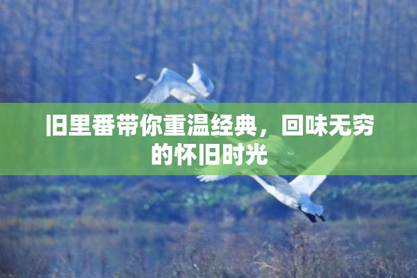 旧里番带你重温经典，回味无穷的怀旧时光