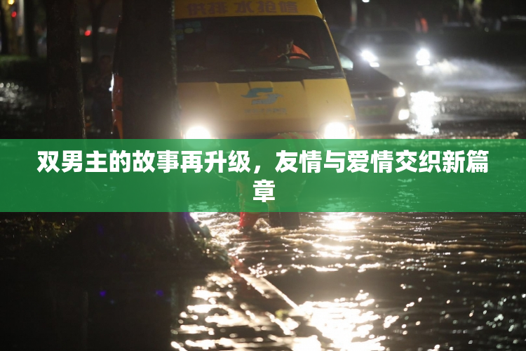 双男主的故事再升级，友情与爱情交织新篇章