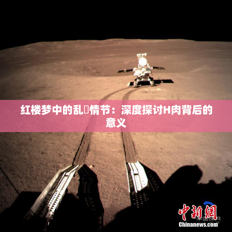 红楼梦中的乱婬情节：深度探讨H肉背后的意义