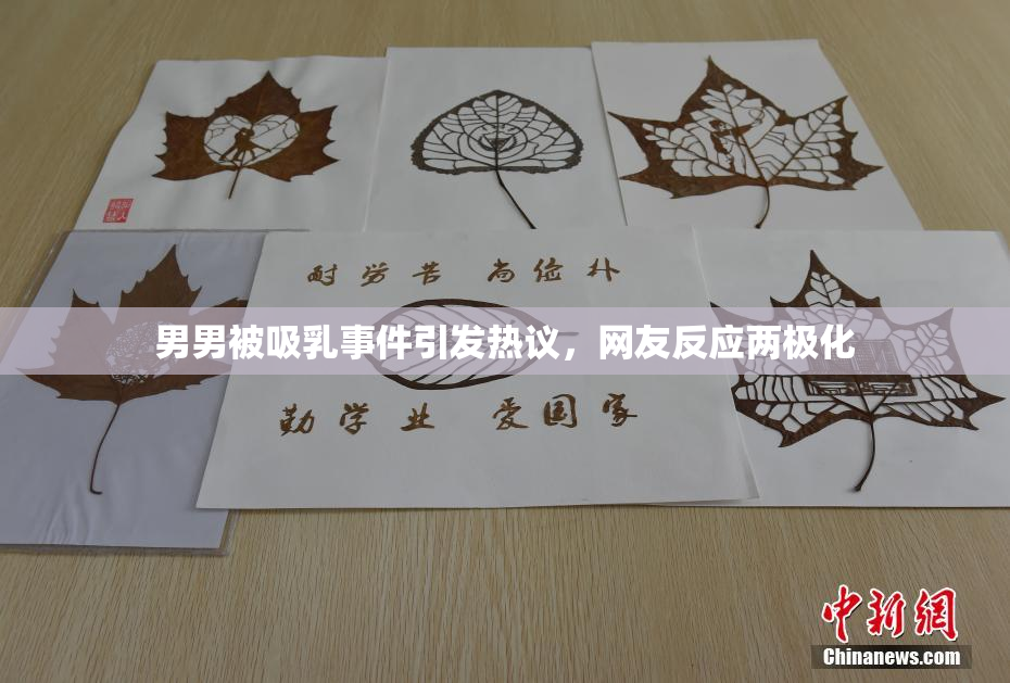 男男被吸乳事件引发热议，网友反应两极化