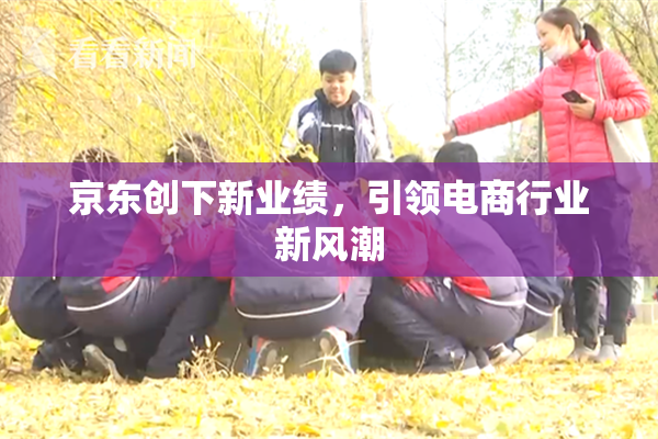 京东创下新业绩，引领电商行业新风潮