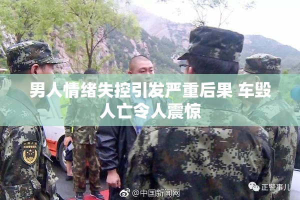 男人情绪失控引发严重后果 车毁人亡令人震惊