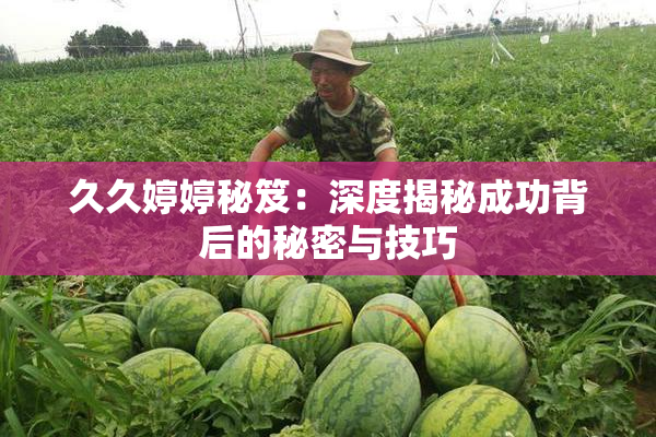 久久婷婷秘笈：深度揭秘成功背后的秘密与技巧