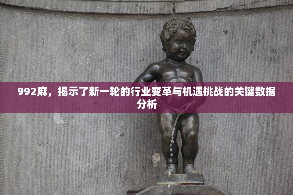 992麻，揭示了新一轮的行业变革与机遇挑战的关键数据分析