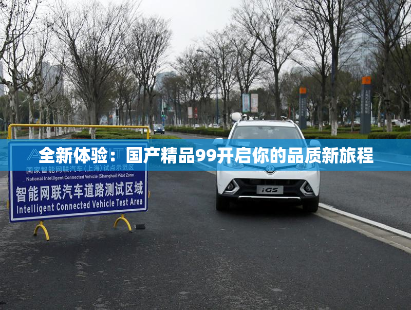 全新体验：国产精品99开启你的品质新旅程