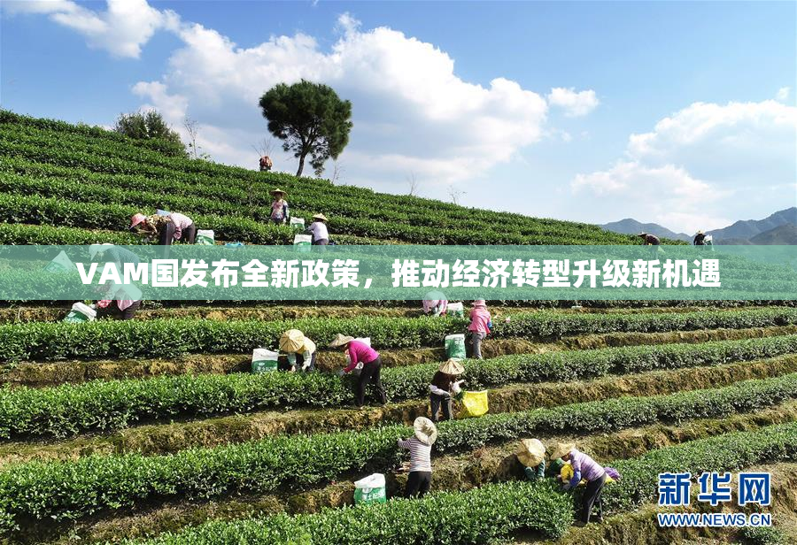 VAM国发布全新政策，推动经济转型升级新机遇