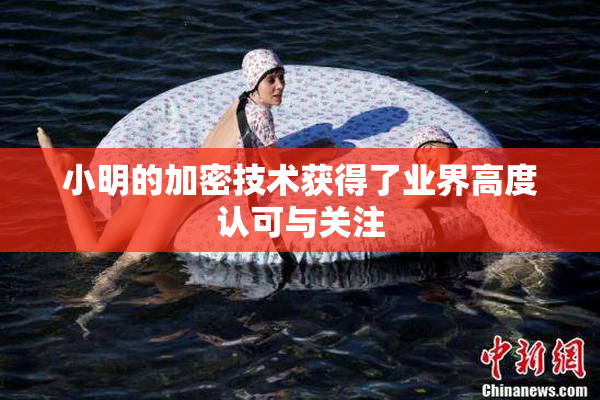 小明的加密技术获得了业界高度认可与关注