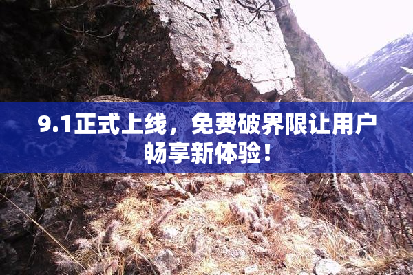 9.1正式上线，免费破界限让用户畅享新体验！