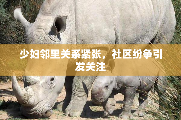 少妇邻里关系紧张，社区纷争引发关注
