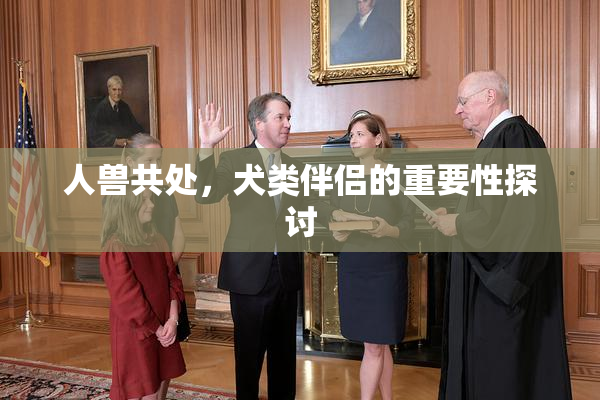 人兽共处，犬类伴侣的重要性探讨
