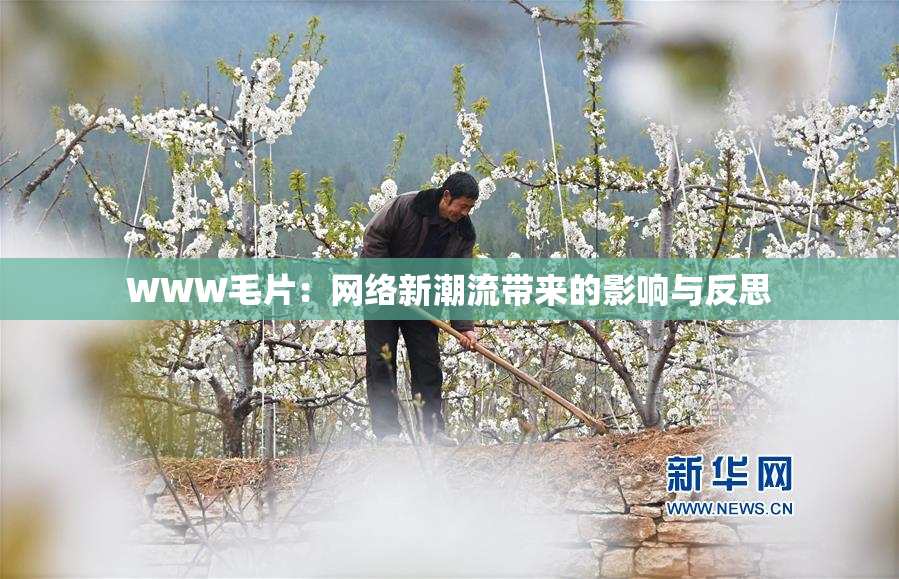 WWW毛片：网络新潮流带来的影响与反思