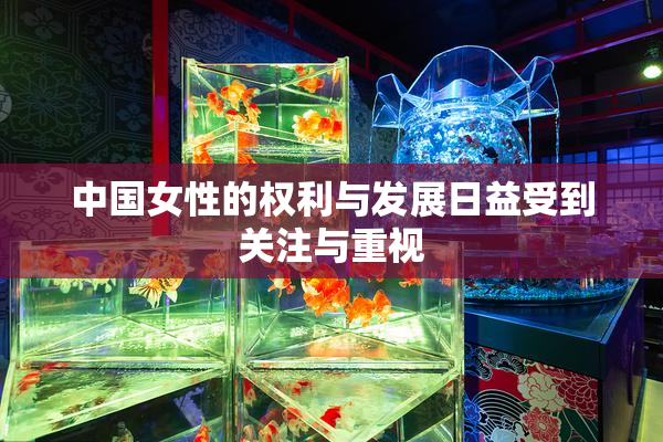 中国女性的权利与发展日益受到关注与重视