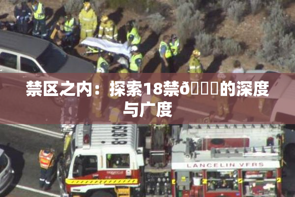 禁区之内：探索18禁🍆的深度与广度