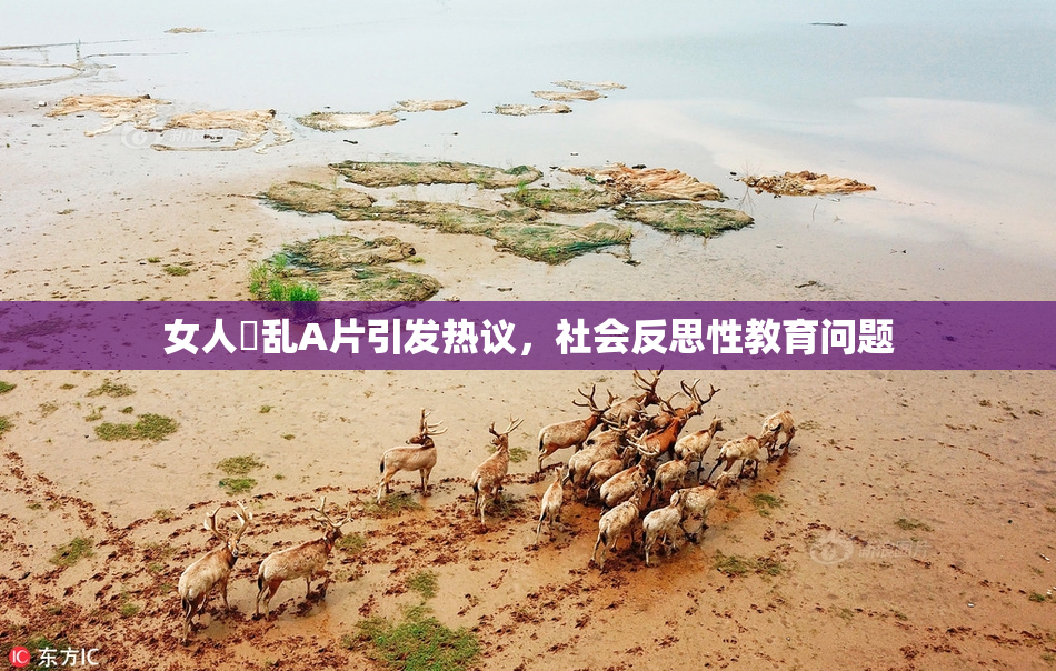 女人婬乱A片引发热议，社会反思性教育问题