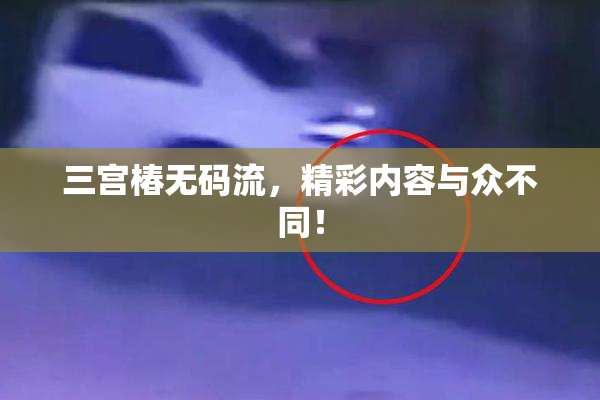 三宫椿无码流，精彩内容与众不同！