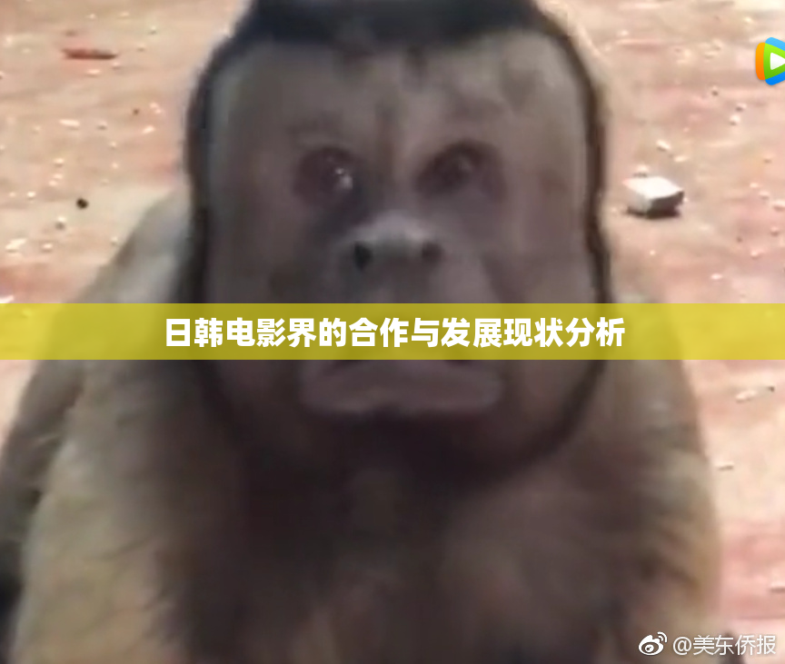 日韩电影界的合作与发展现状分析