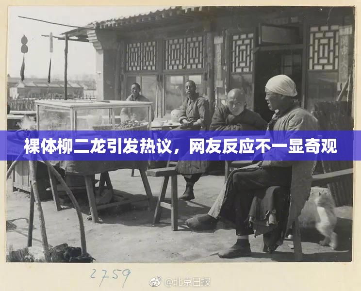 裸体柳二龙引发热议，网友反应不一显奇观