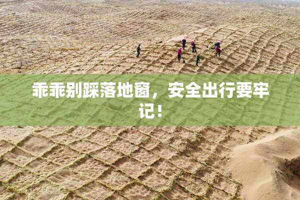 乖乖别踩落地窗，安全出行要牢记！