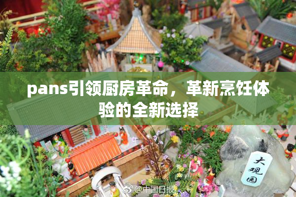 pans引领厨房革命，革新烹饪体验的全新选择