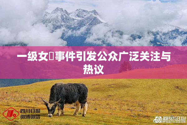一级女婬事件引发公众广泛关注与热议