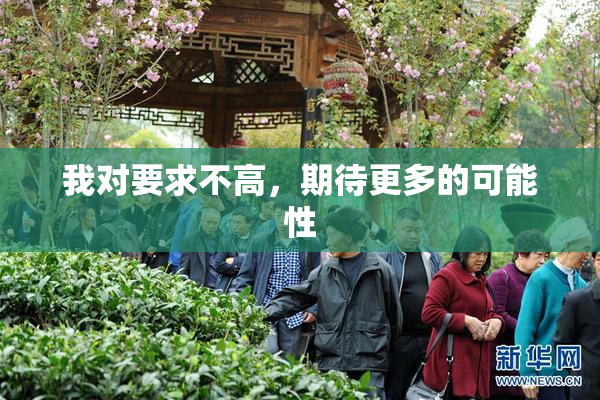 我对要求不高，期待更多的可能性