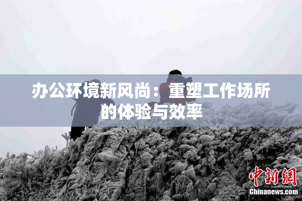 办公环境新风尚：重塑工作场所的体验与效率