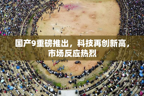 国产9重磅推出，科技再创新高，市场反应热烈