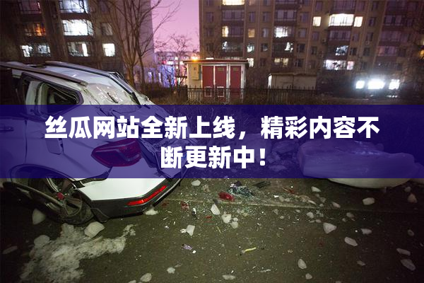 丝瓜网站全新上线，精彩内容不断更新中！