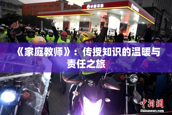 《家庭教师》：传授知识的温暖与责任之旅