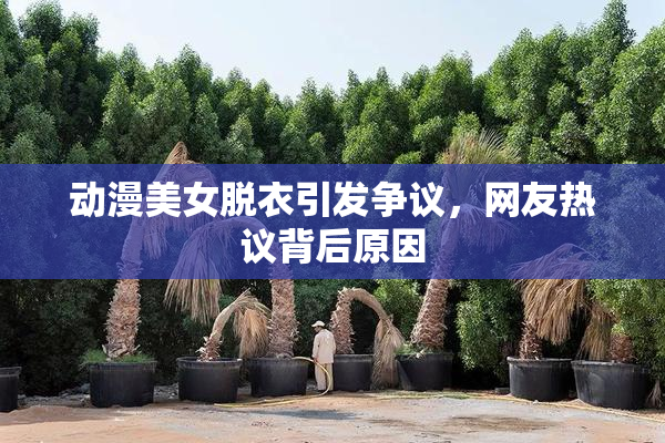 动漫美女脱衣引发争议，网友热议背后原因