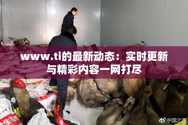 www.ti的最新动态：实时更新与精彩内容一网打尽