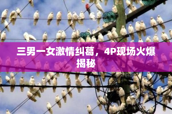 三男一女激情纠葛，4P现场火爆揭秘