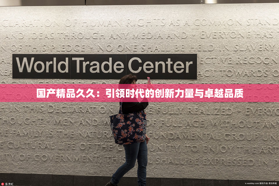 国产精品久久：引领时代的创新力量与卓越品质