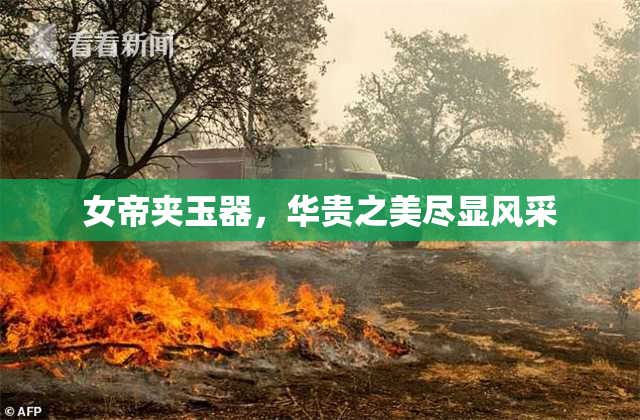 女帝夹玉器，华贵之美尽显风采