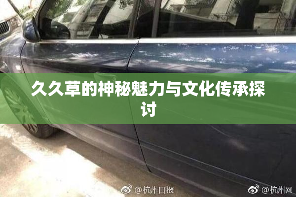 久久草的神秘魅力与文化传承探讨