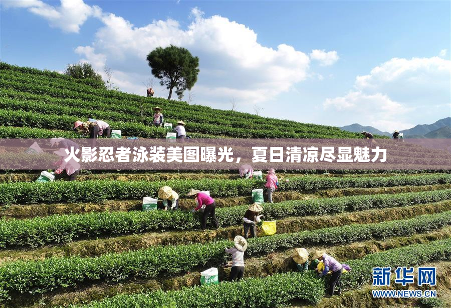 火影忍者泳装美图曝光，夏日清凉尽显魅力