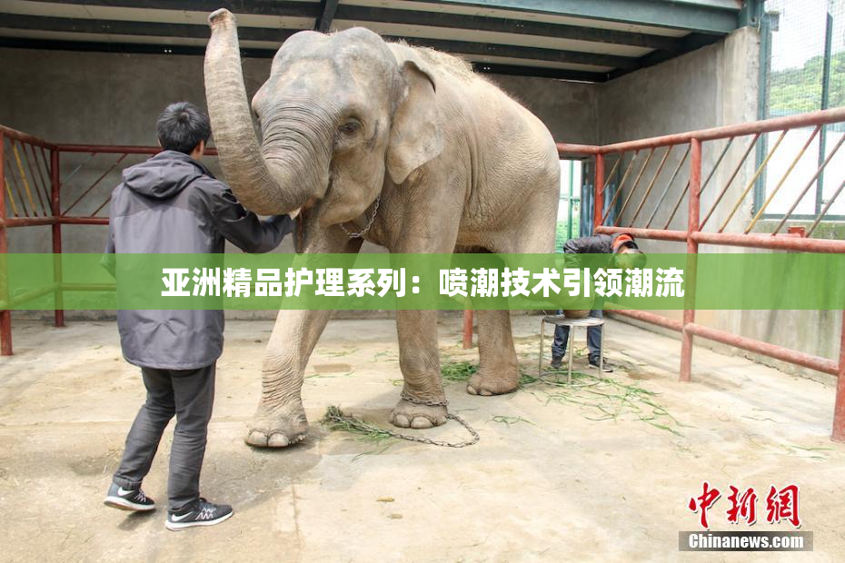 亚洲精品护理系列：喷潮技术引领潮流